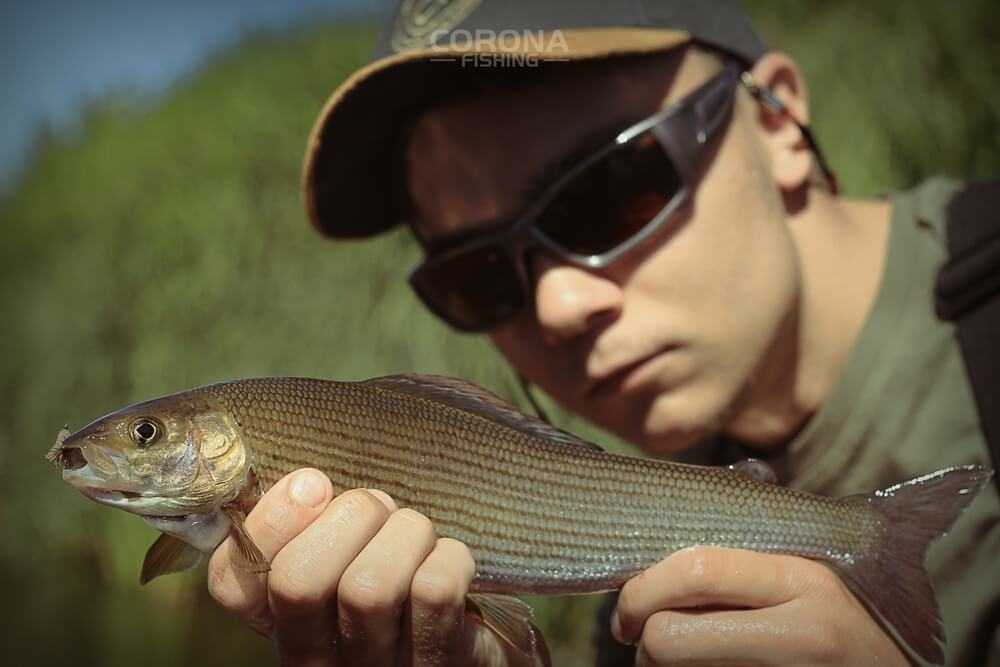 wędkarstwo skandynawia